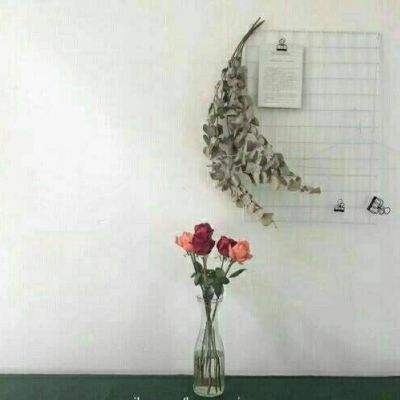 侠义江湖破解版下载