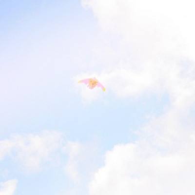极品王爷破解版下载